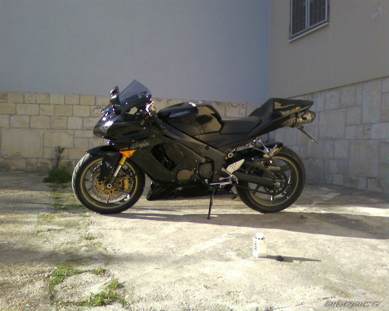Photo 1554280