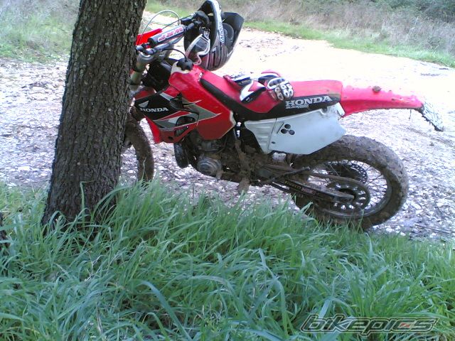 Bike Photo 1554308