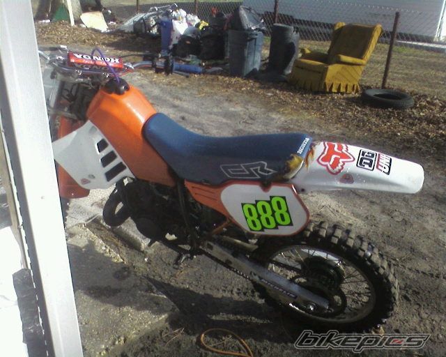 Photo 1554313