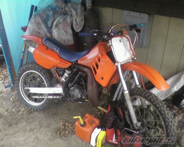 Photo 1554315