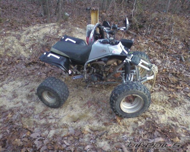 Photo 1554321