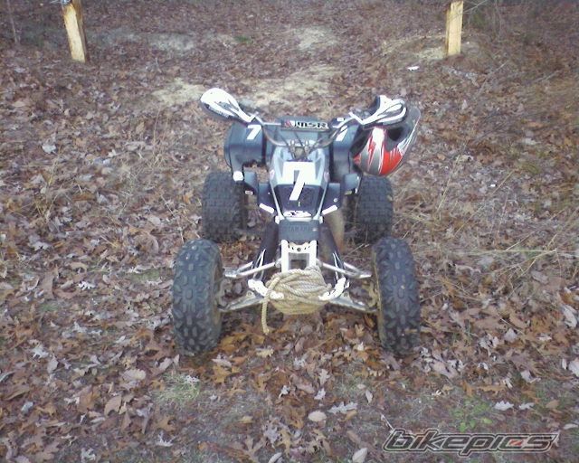 Photo 1554322