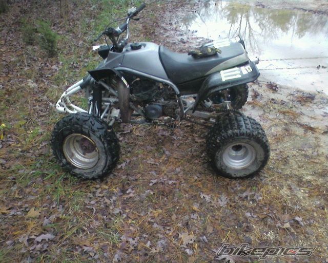 Photo 1554324