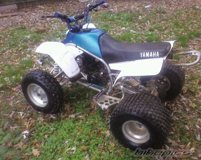 Photo 1554325