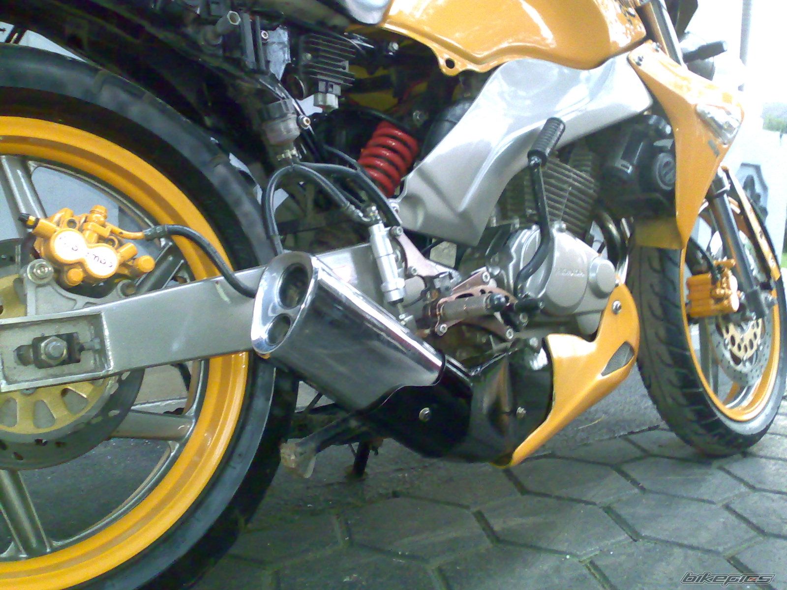 Photo 1554340