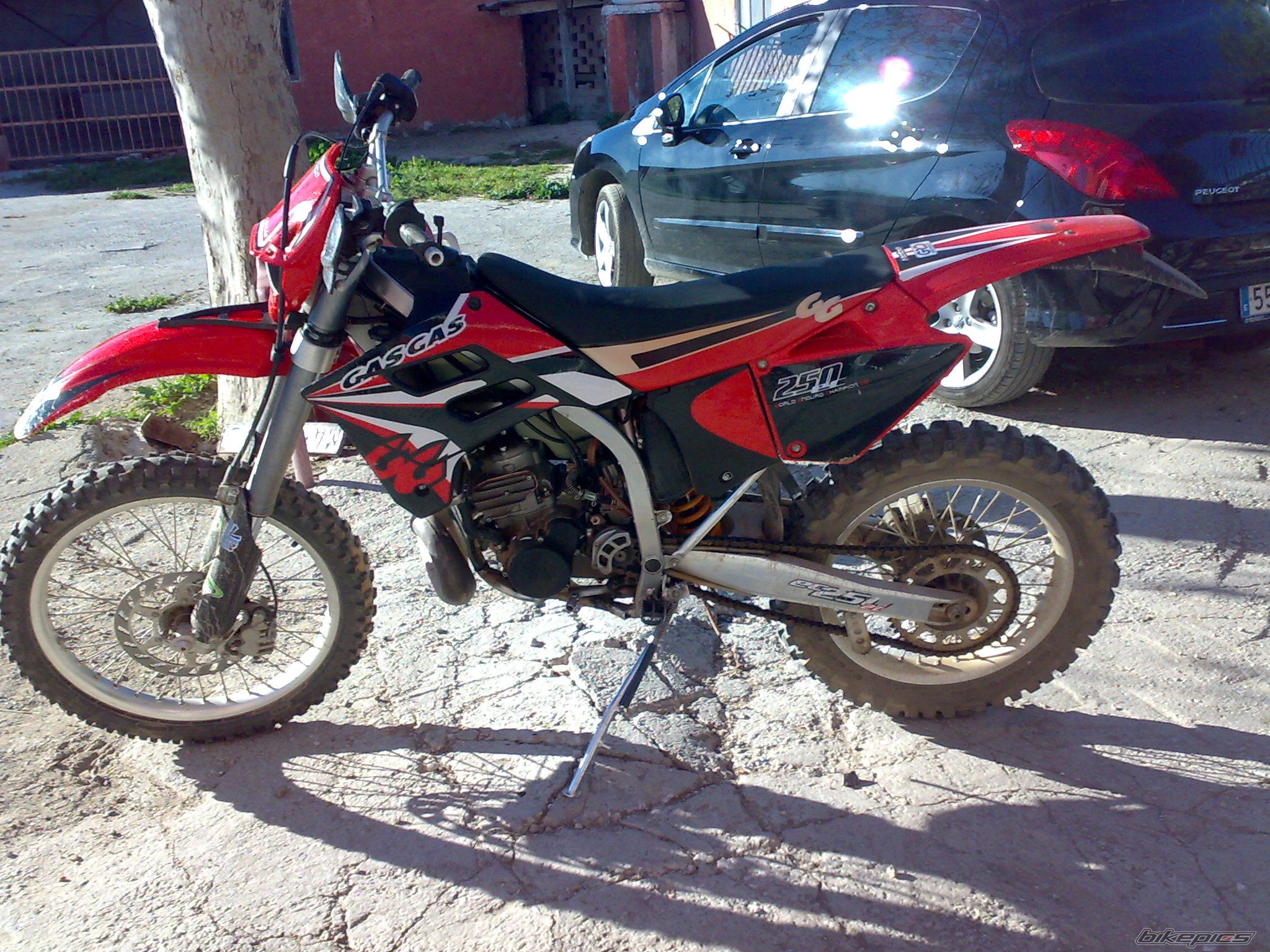 Photo 1554341
