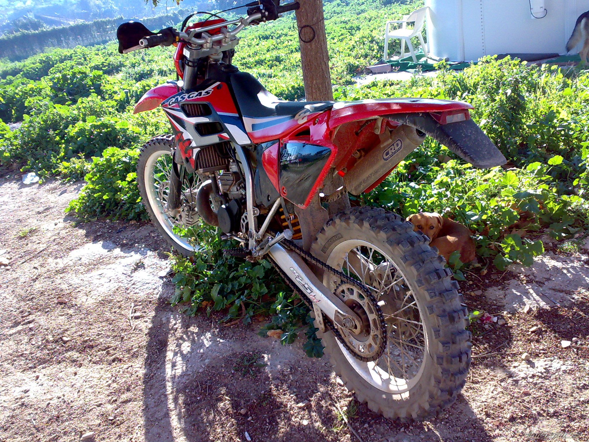 Photo 1554344