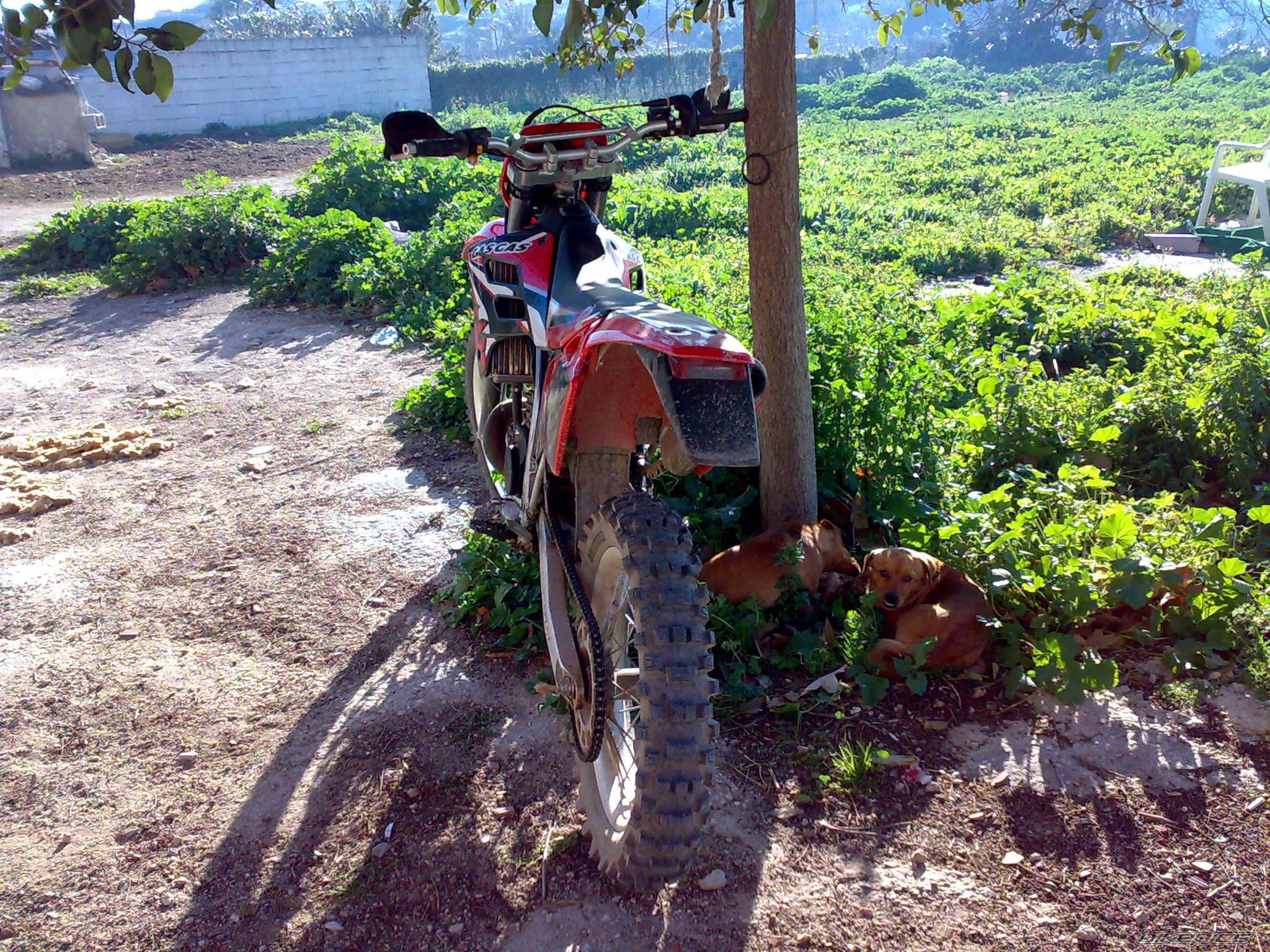 Photo 1554346