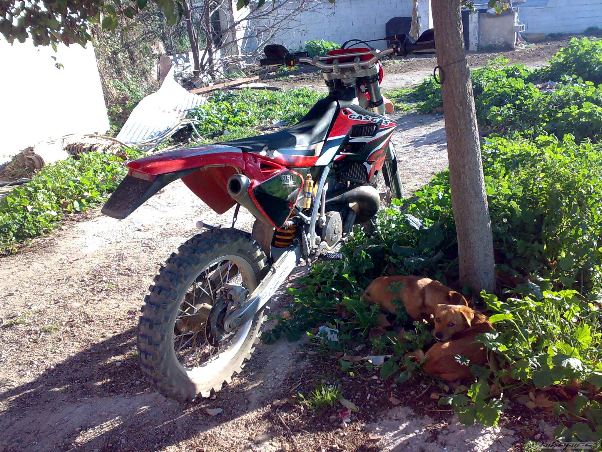 Photo 1554347