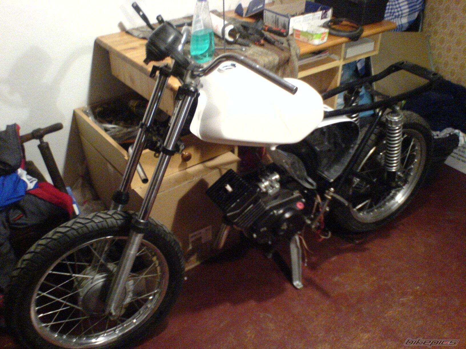 Photo 1554370