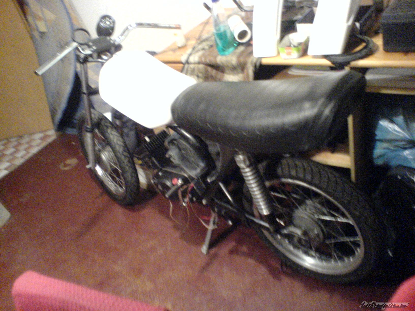 Photo 1554384