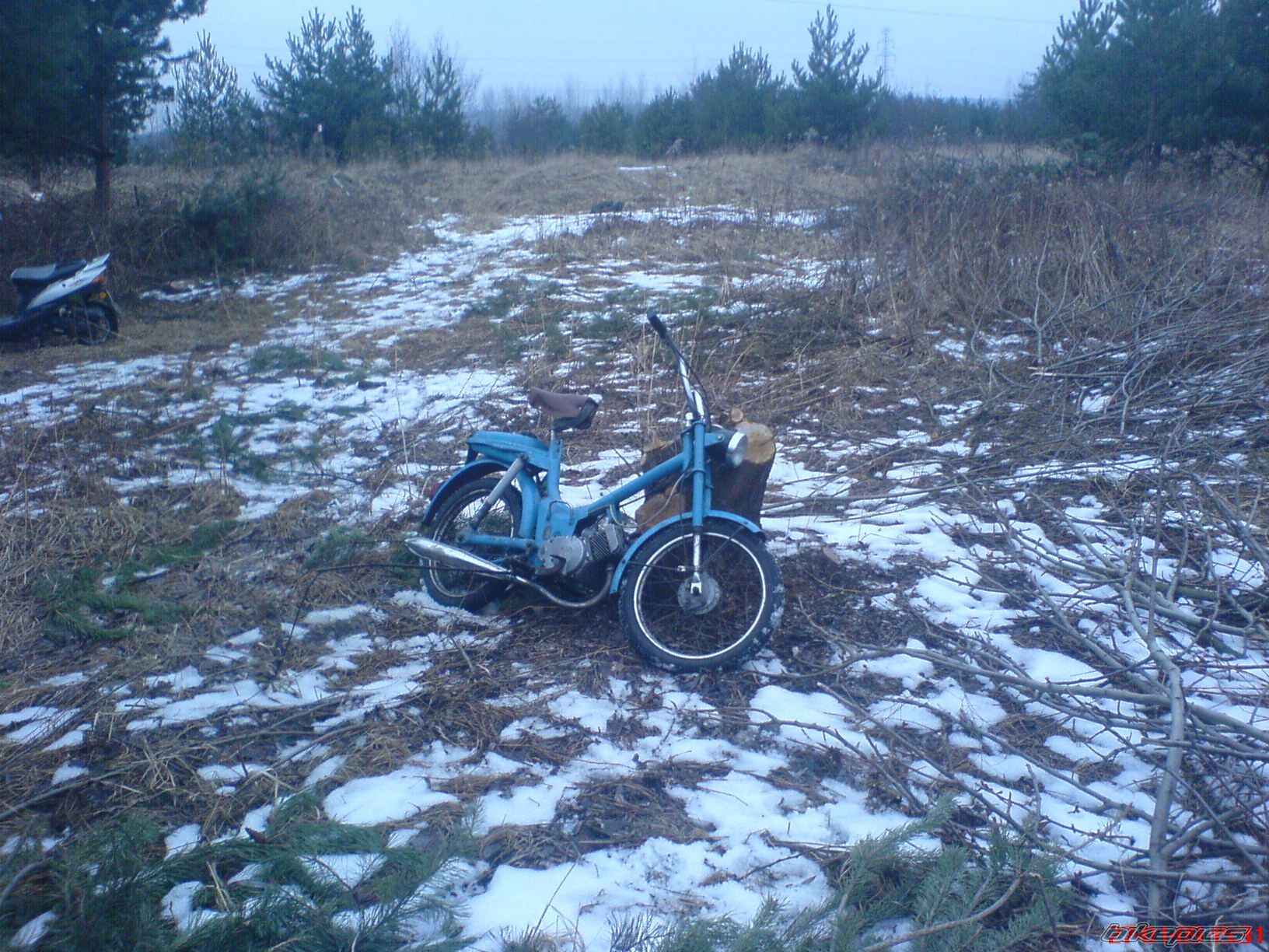Photo 1554390