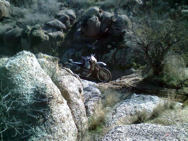 Photo 1554400