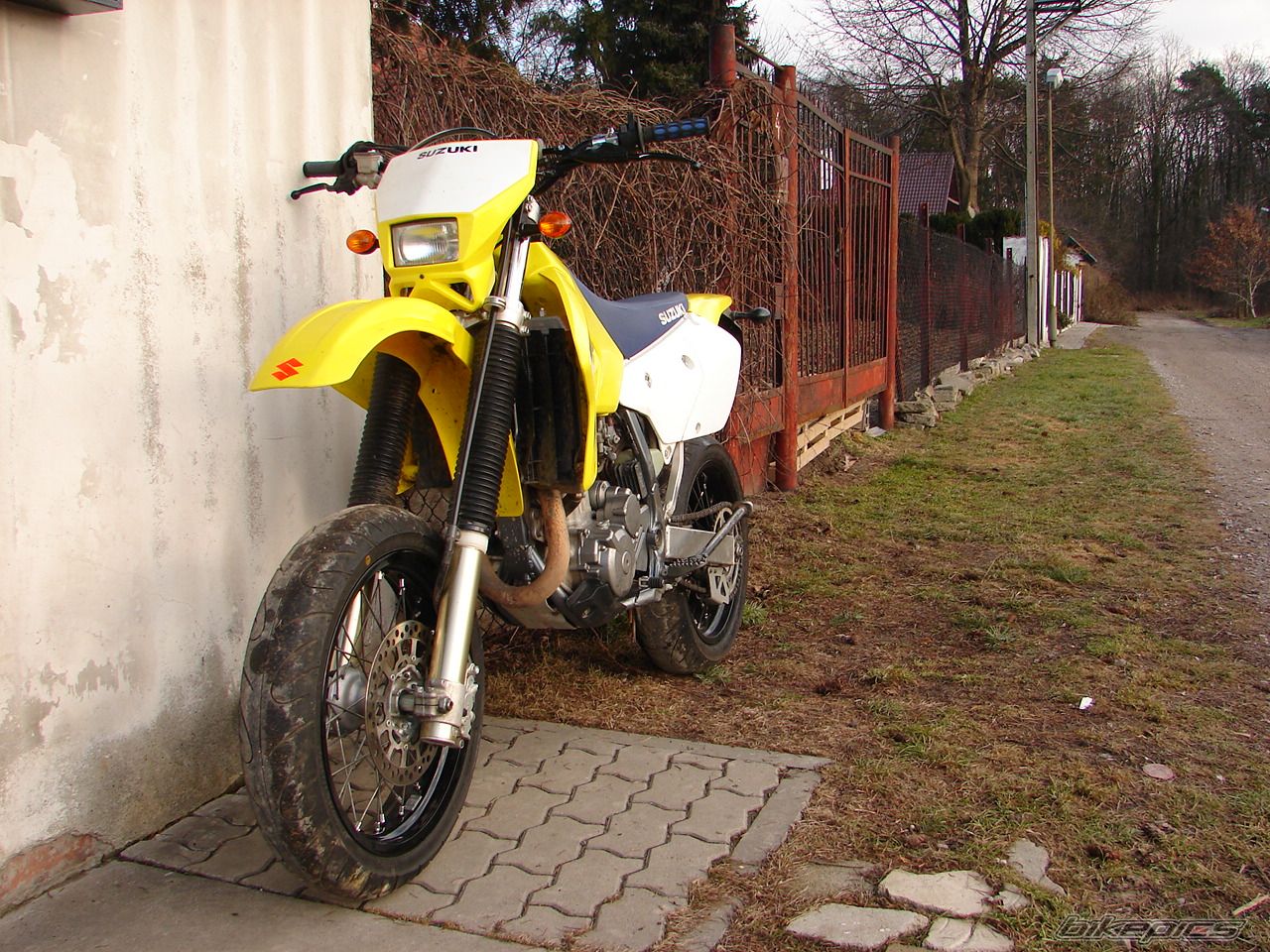 Photo 1554423