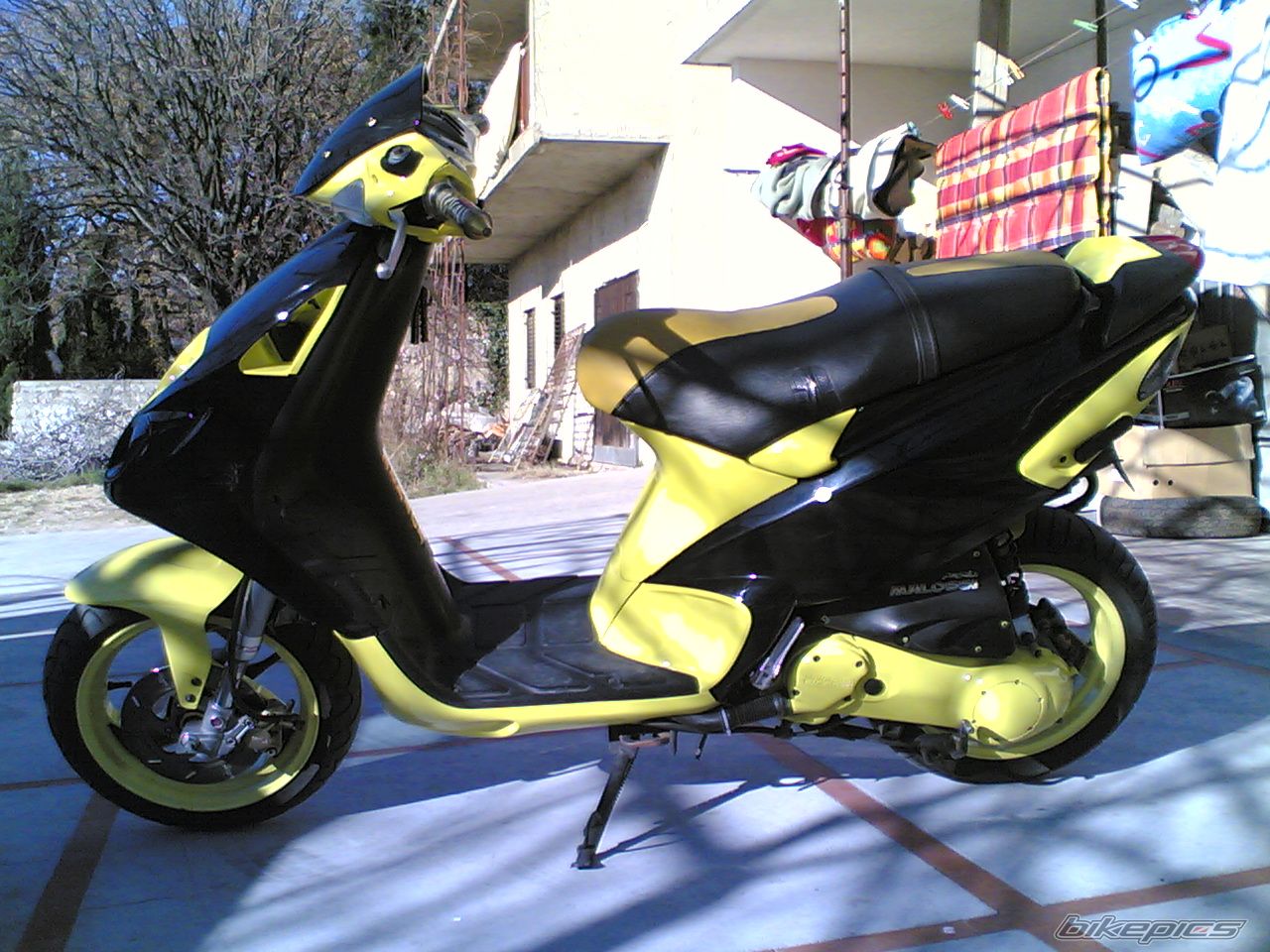 Photo 1554444
