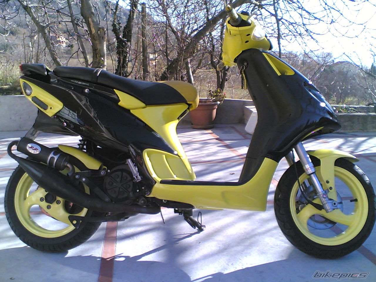 Photo 1554445