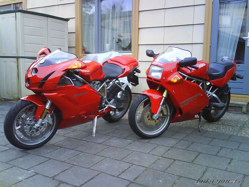 Photo 1554446