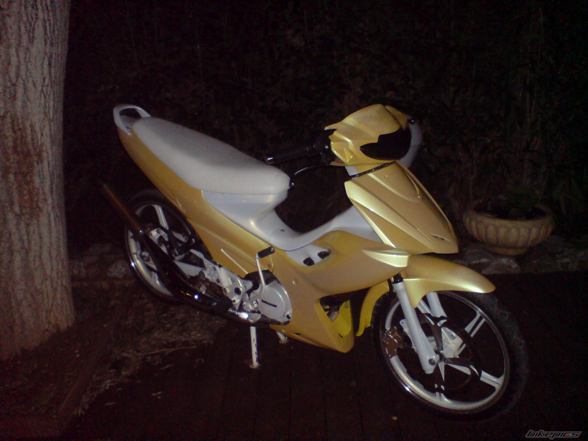 Photo 1554473