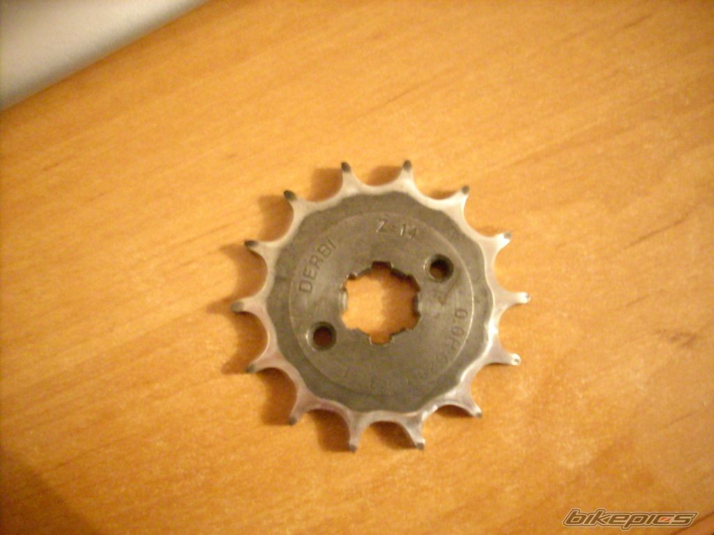 Photo 1554486