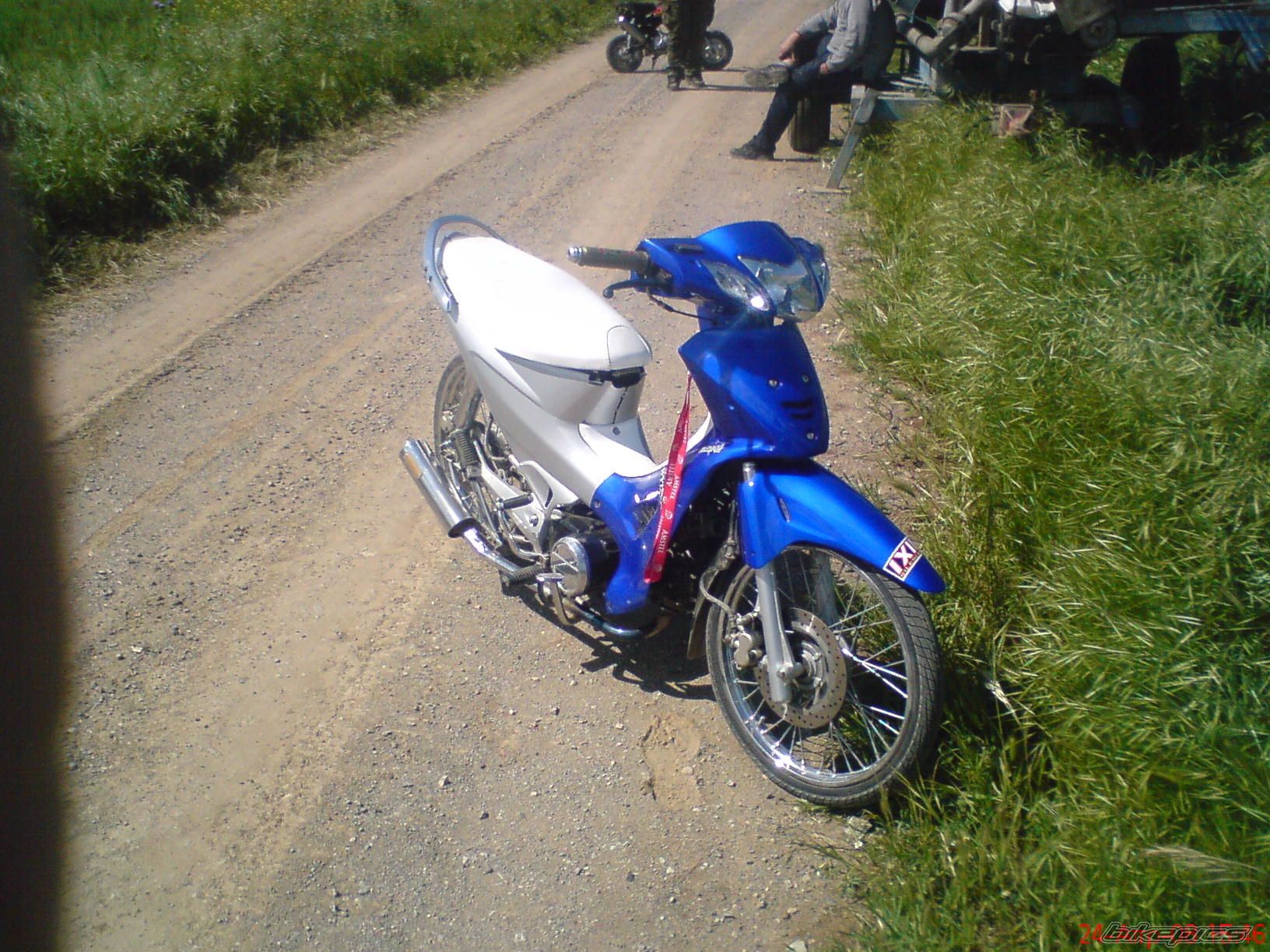 Photo 1554490