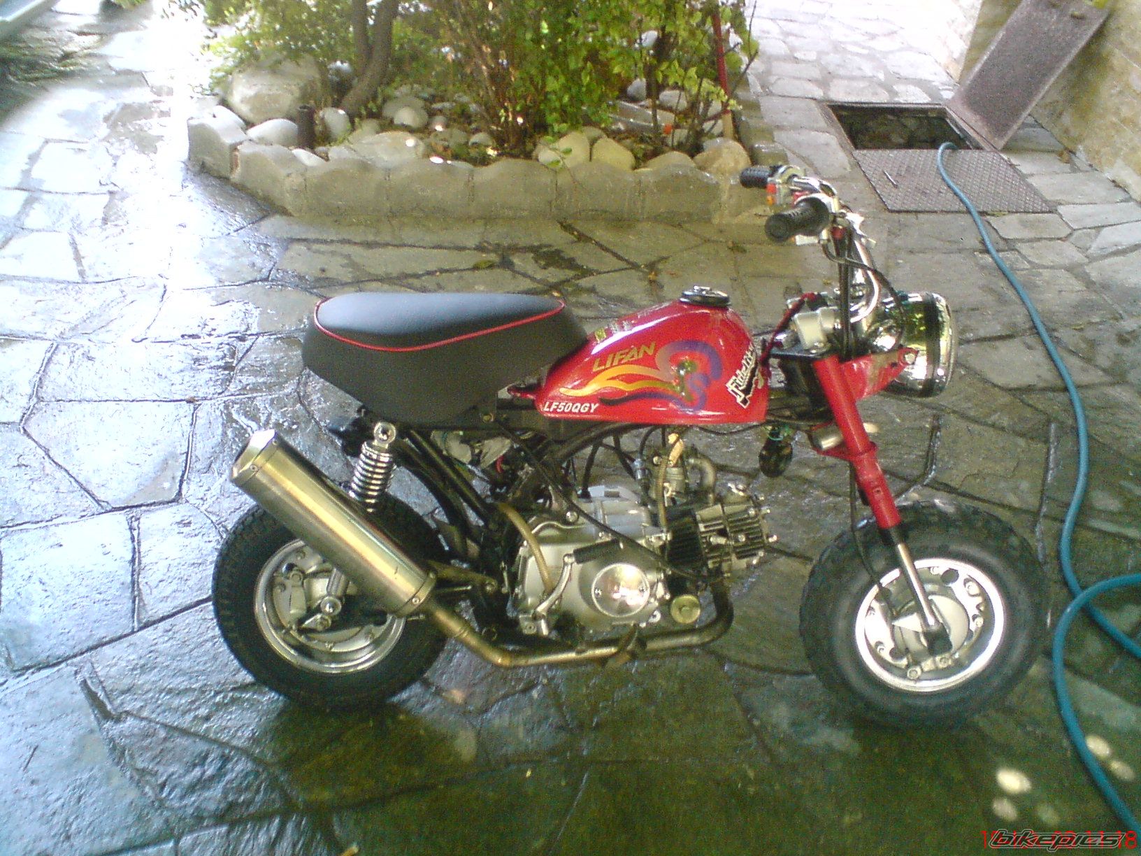 Photo 1554492