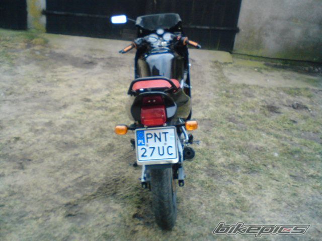 Photo 1554593