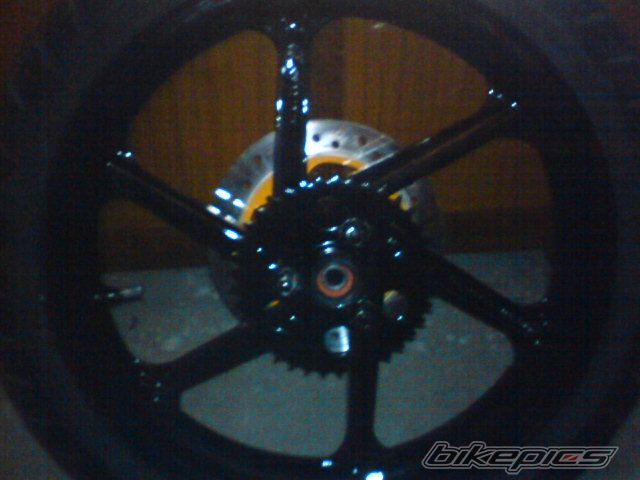 Photo 1554595
