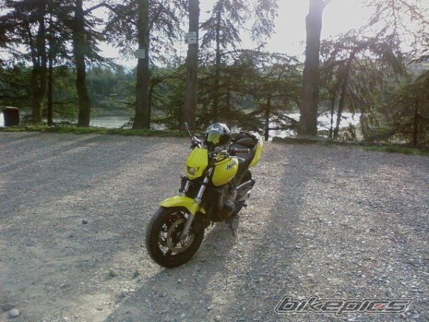 Photo 1554611