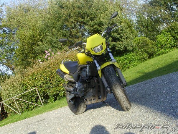 Photo 1554632