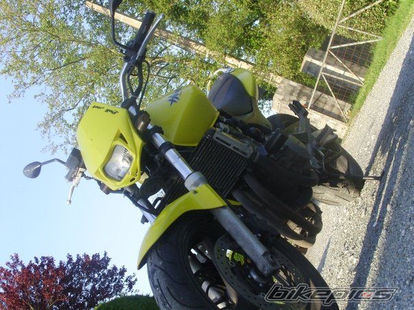 Photo 1554633
