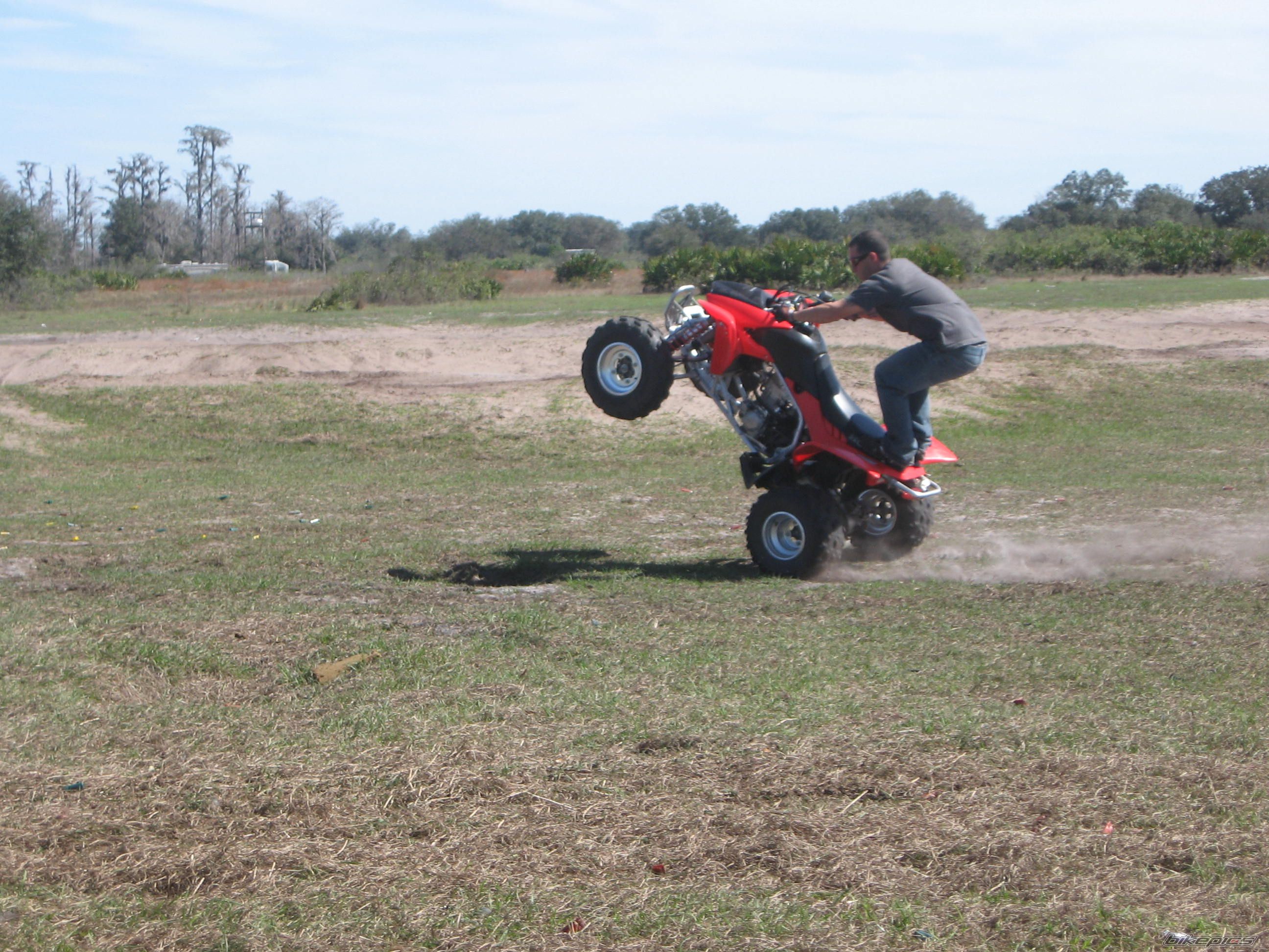 Photo 1554664