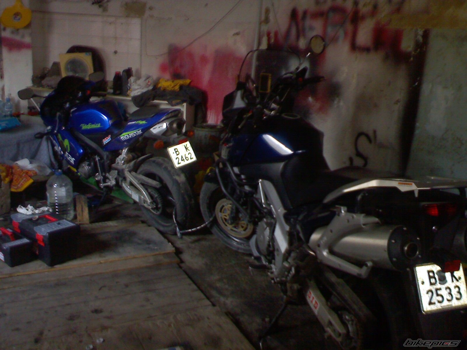 Photo 1554668