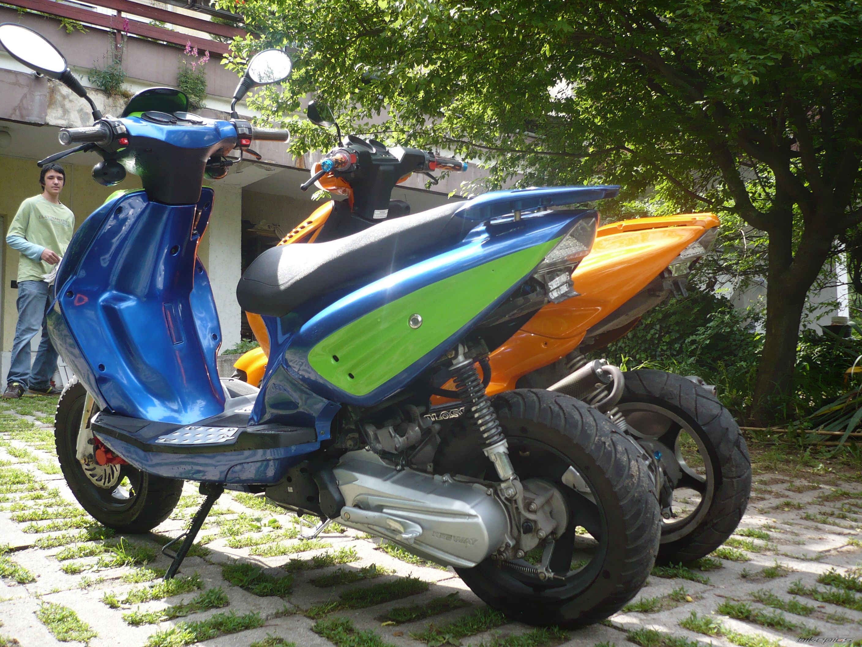 Photo 1554676