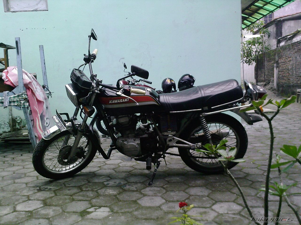 Photo 1554678