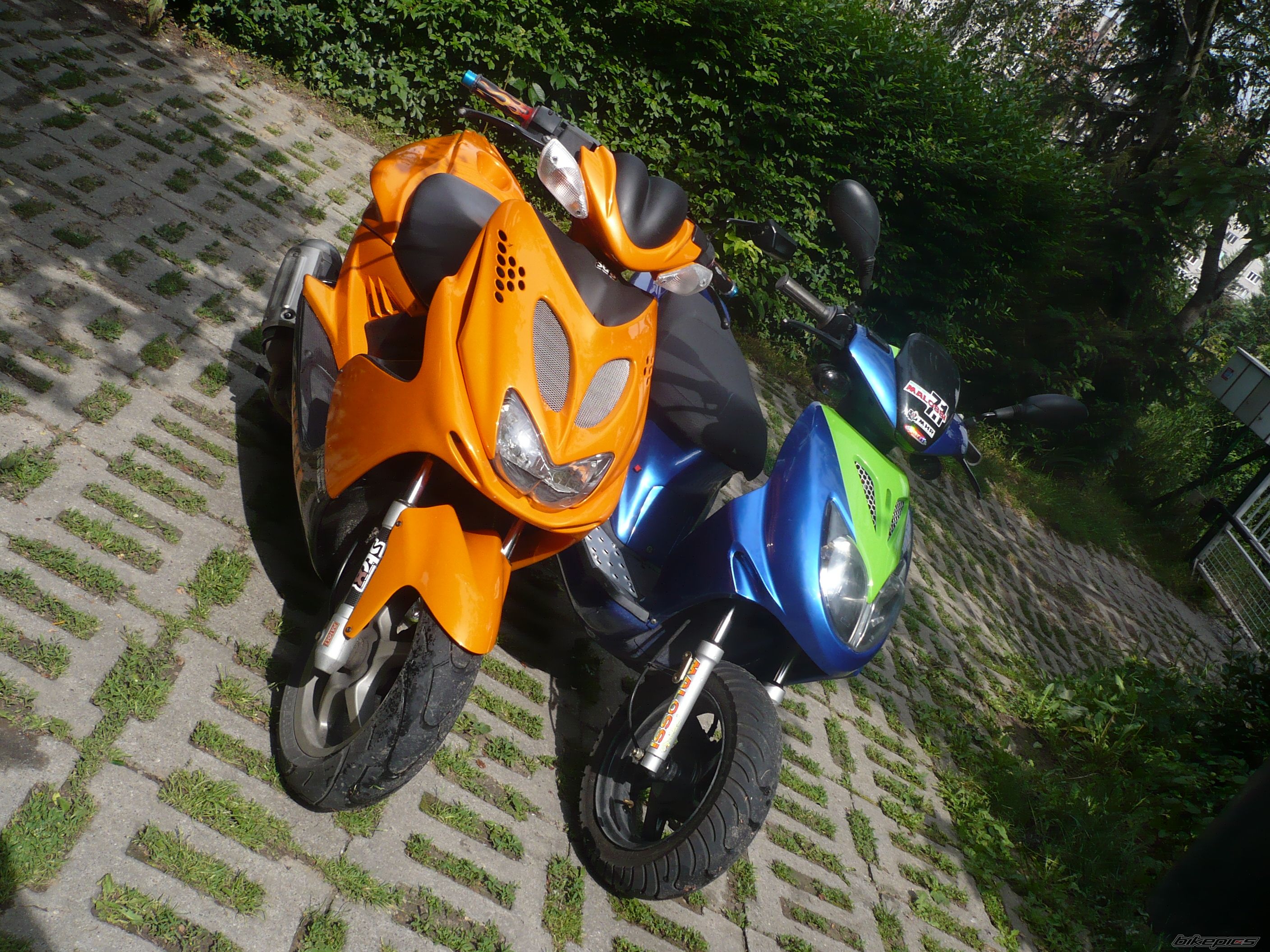 Photo 1554679