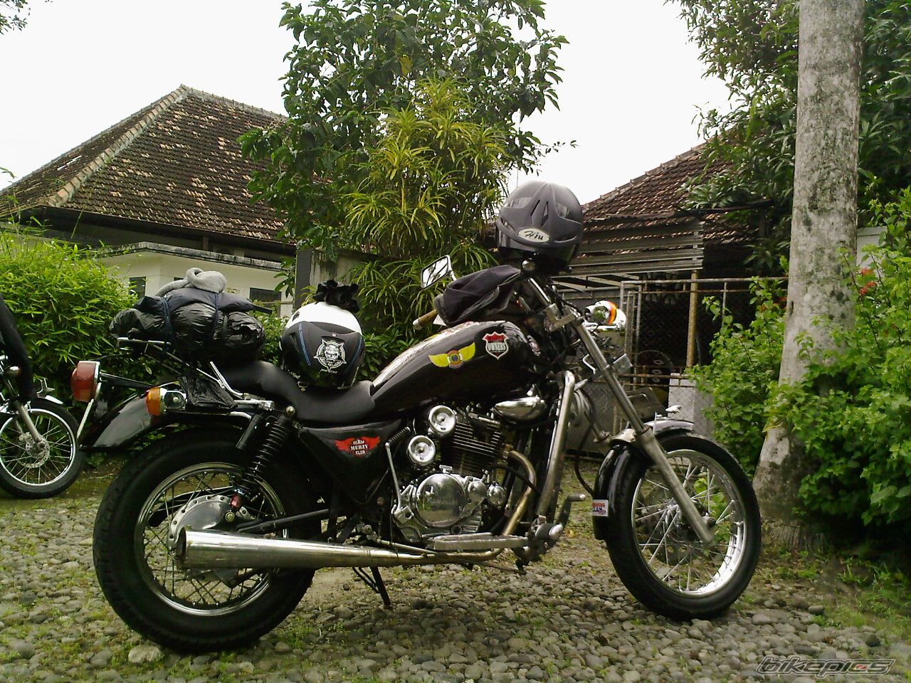 Photo 1554690