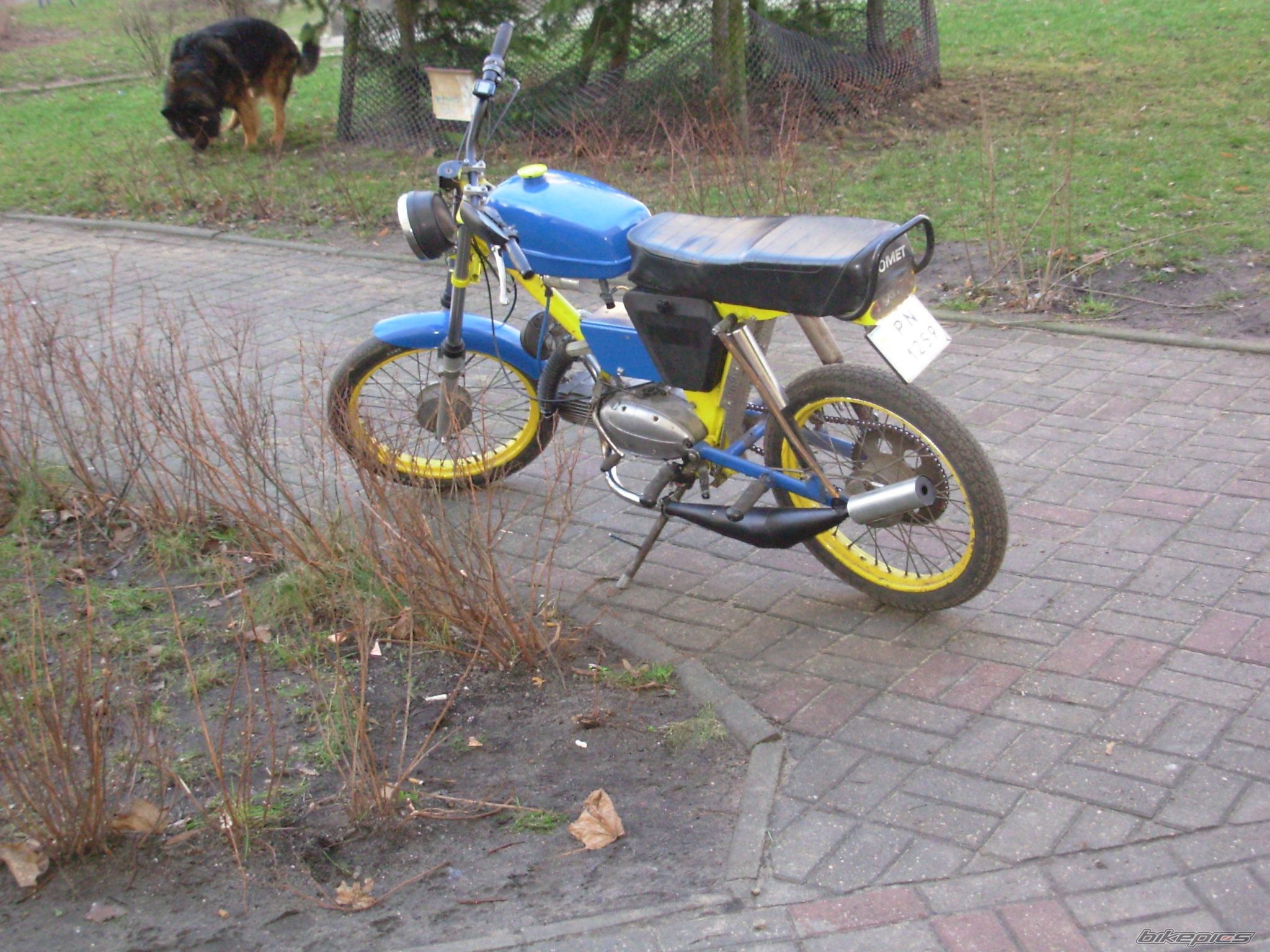 Photo 1554694