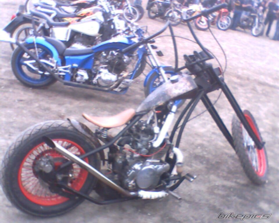 Photo 1554695