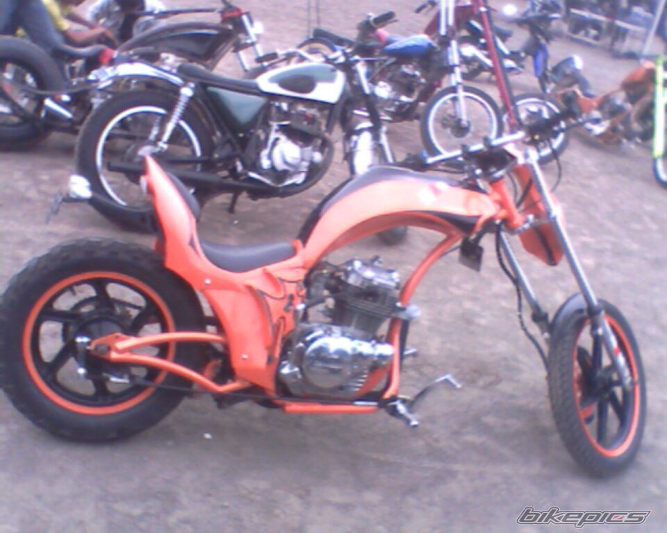 Photo 1554721