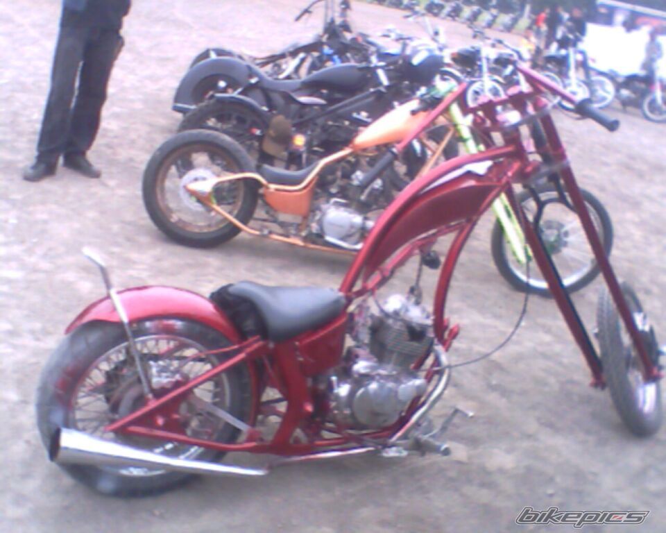 Photo 1554725