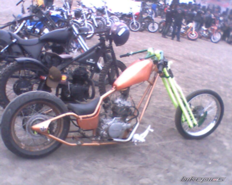Photo 1554726