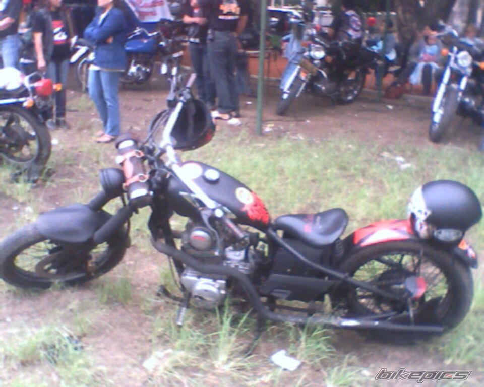 Photo 1554731