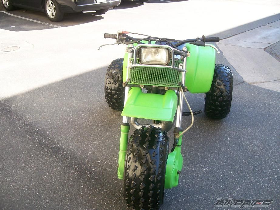 Photo 1554771