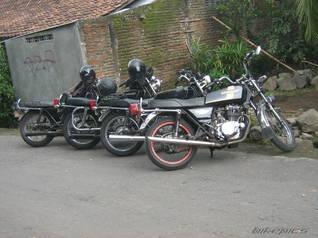 Photo 1554795