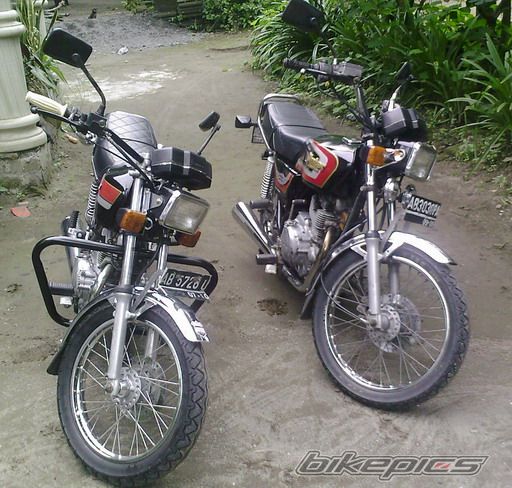 Photo 1554811