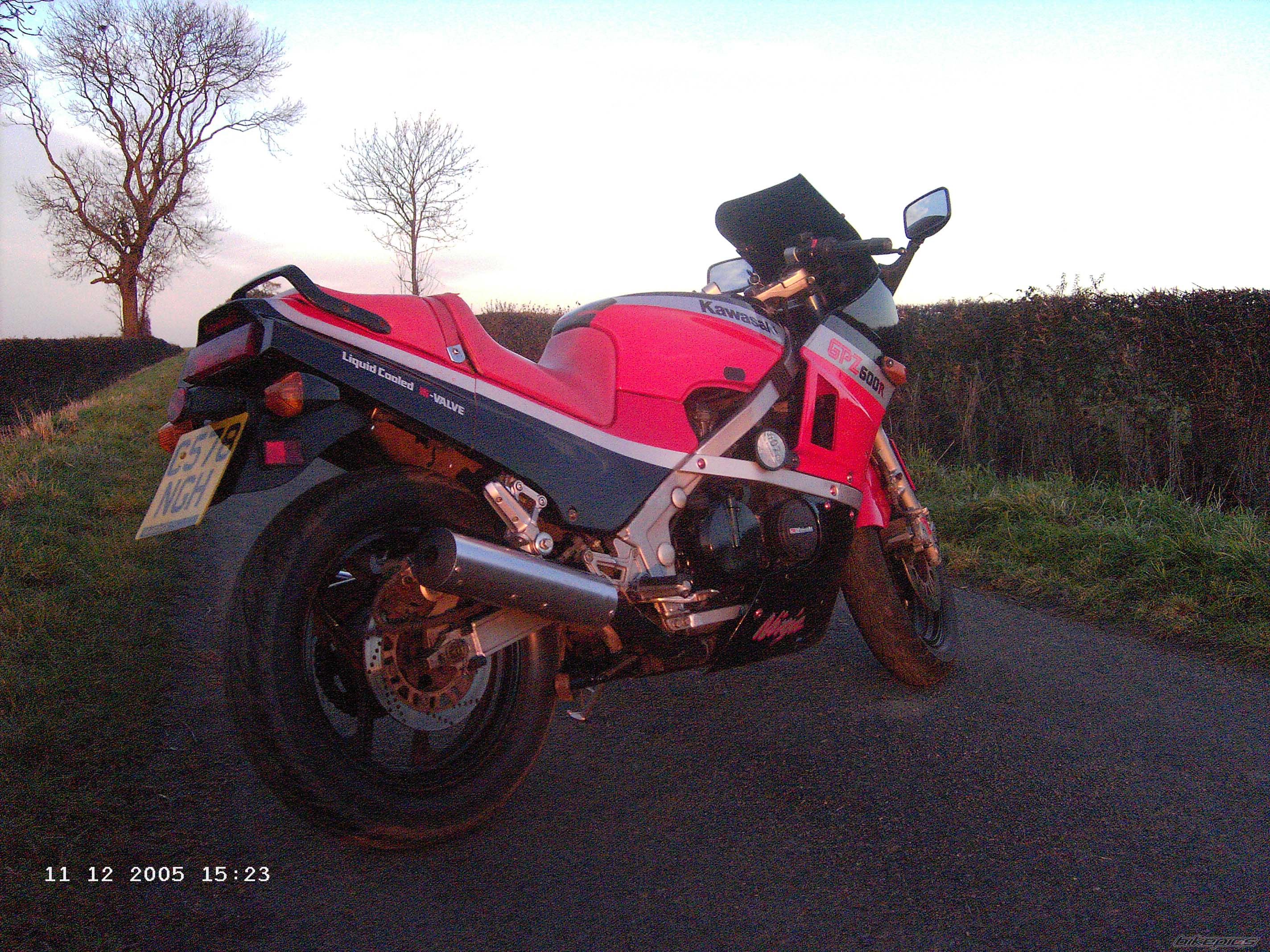 Photo 1554841