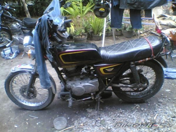 Photo 1554849