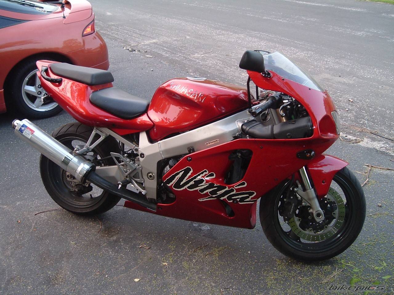 Photo 155487