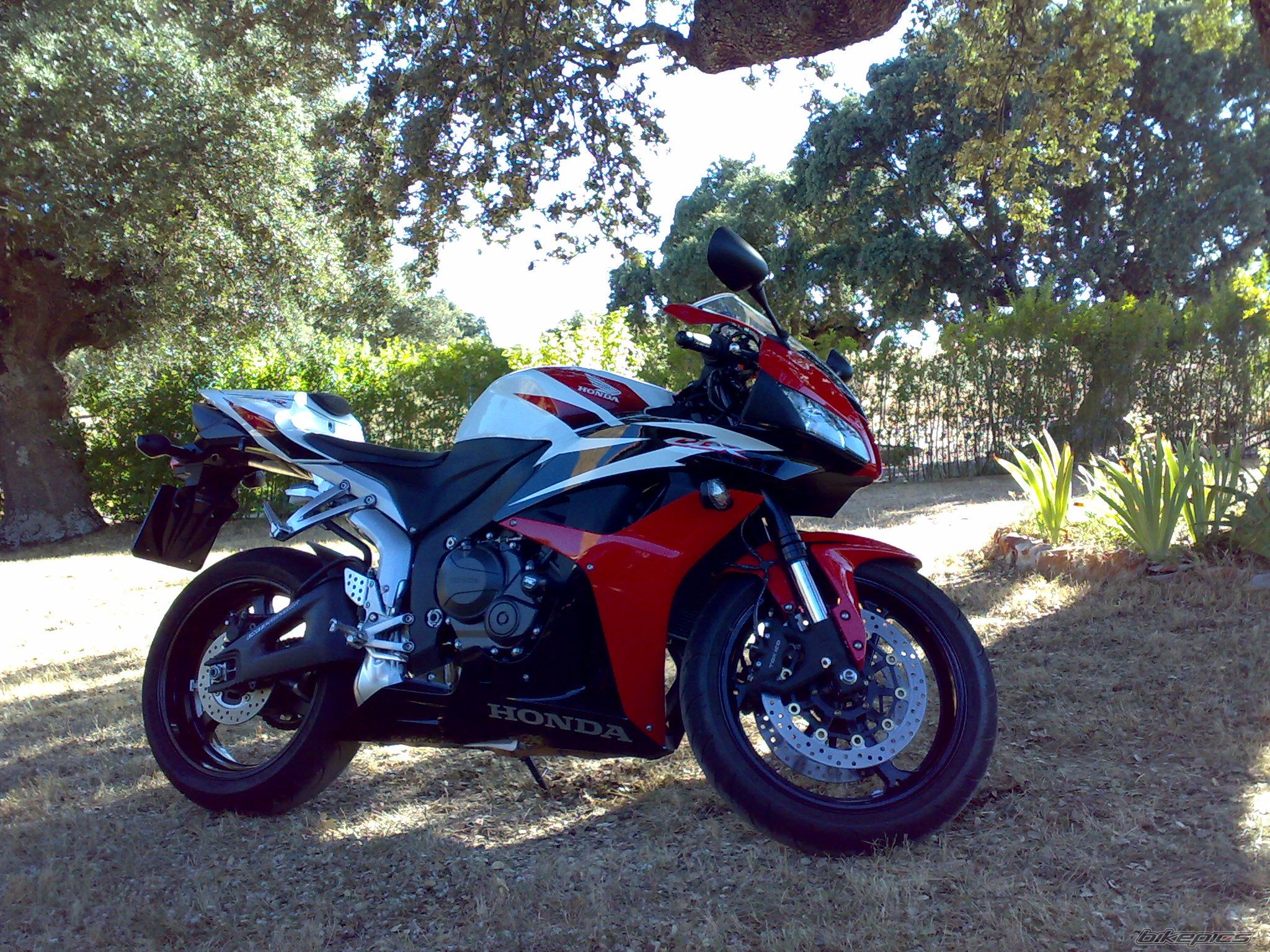 Bike Photo 1554881