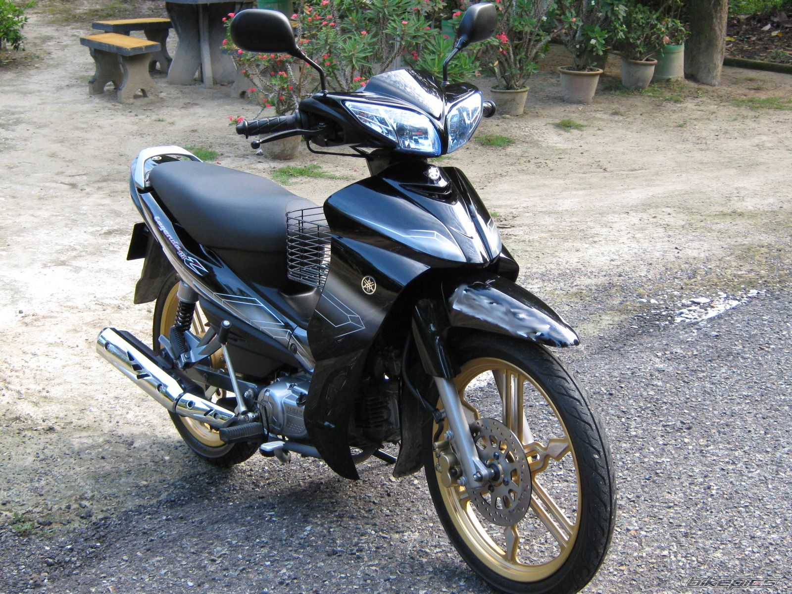 Bike Photo 1554930